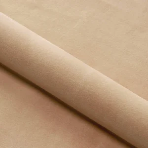 Ecru Champagne swatch