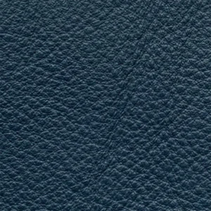 Twilight Blue swatch