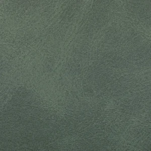 Distressed Fern Green swatch