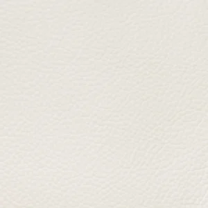 Eggshell swatch