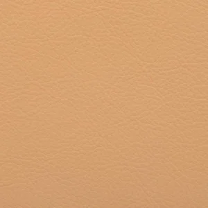 Beige swatch