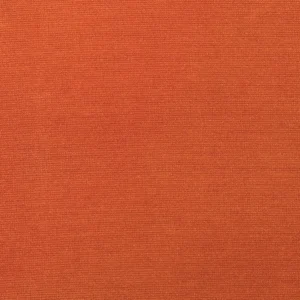 Hazelnut swatch