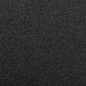 Obsidian Black swatch
