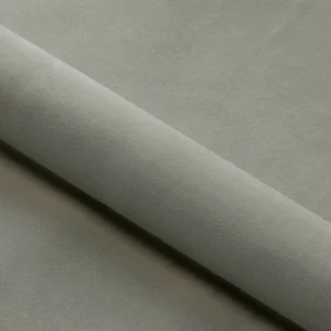 Platinum Silver swatch