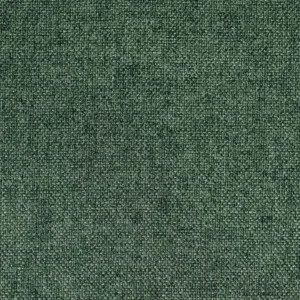 Cactus swatch