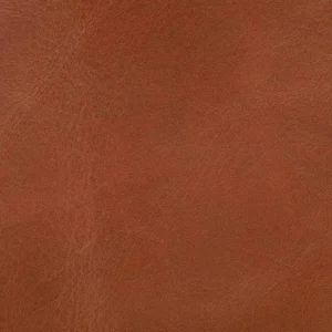 Brown swatch