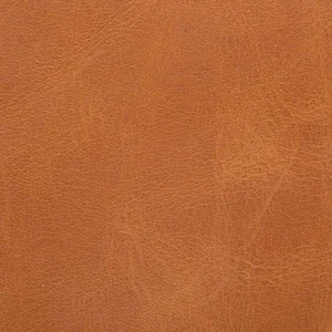 Caramel swatch