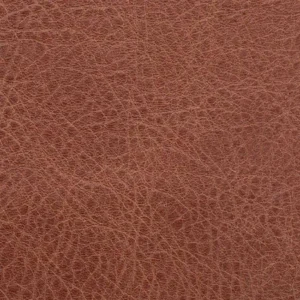 Chestnut swatch
