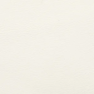 White swatch