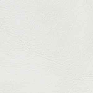 Snow White swatch
