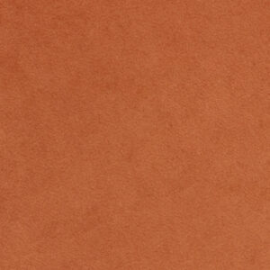 Apricot Velvet swatch
