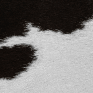 Black/White Cowhide swatch