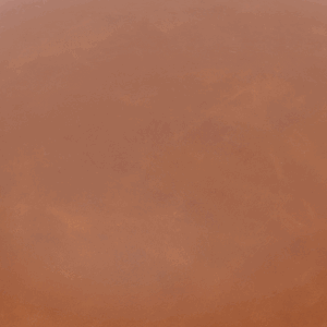 Tan Premium Leather swatch