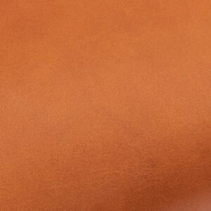 Caramel Premium Leather swatch