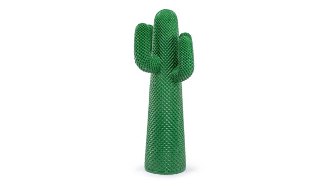 The Cactus