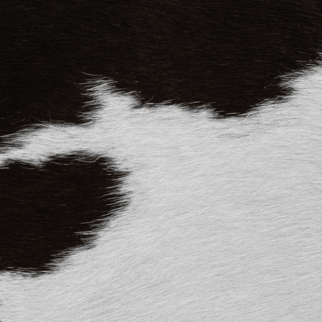 Cowhide – Black/White Cowhide
